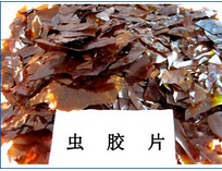 虫胶片