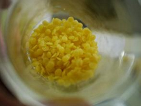颗粒黄蜂蜡